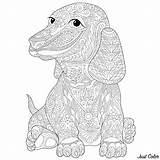 Teckel Chien Dogs Coloring Coloriage Patterns Complex Pages Animals Adult sketch template