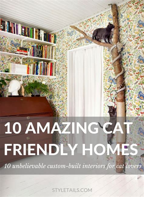10 Amazing Cat Friendly Houses