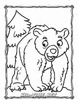 Coloring Grizzly sketch template
