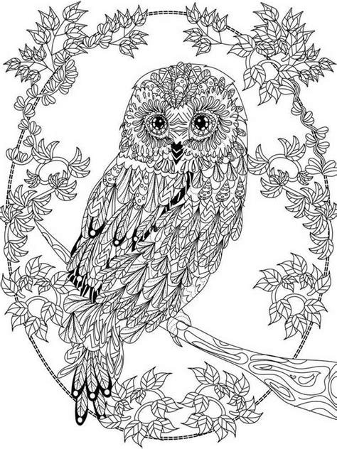 owl coloring pages  adults