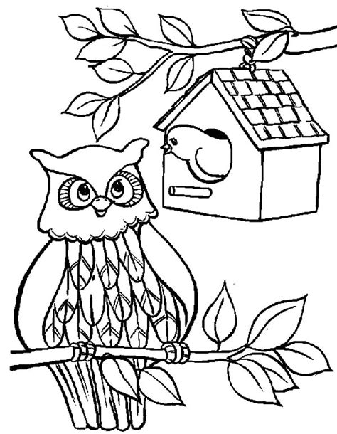 owl bird house coloring pages  place  color