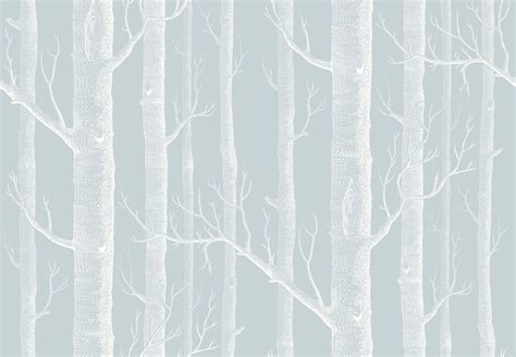 Cole And Son Woods Birch Trees Trunks Popular Wallpaper Melbourne