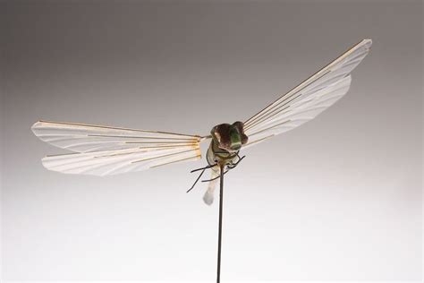 dragonfly insectothopter developed  cias office  rese flickr spy technology