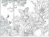 Rainforest Getcolorings sketch template