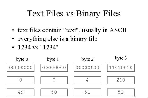 whats  difference  text file  binary file developers