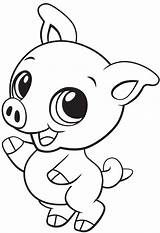 Pig Cute Coloring Baby Printable Pages Kids Description sketch template