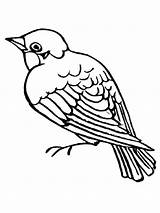 Coloring Pages Sparrow Printable Sparrows Birds Color Print Kids Sheets Recommended sketch template