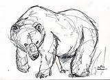 Drawing Getdrawings Spirit Bear sketch template