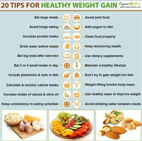 weight gain tips wiki fitness amino