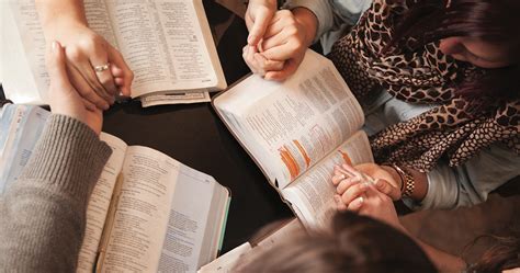 top  reasons  small group bible study ascension press media