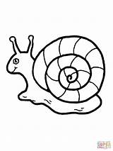 Melc Snail Schnecke Ausmalbild Colorat Escargot Planse Caracol Desene Lumaca Kinderbilder Melci Malvorlage Niedliche Melcul sketch template