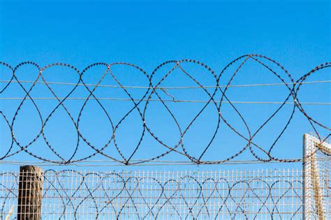 female prison guard jailed for romping with prisoner world news uk