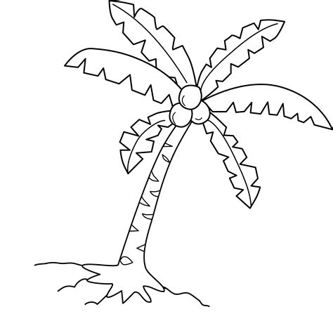 drawing coconut tree  nature printable coloring pages