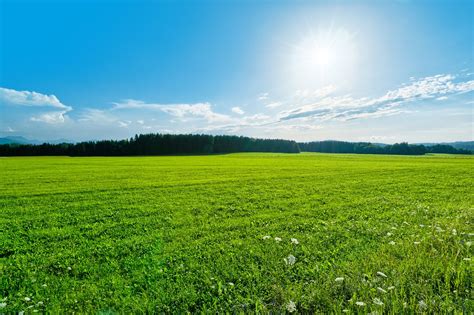 green field landscape  photo  freeimages