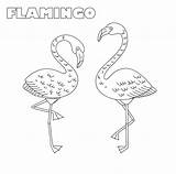 Flamingo Ausmalbilder Flamingos Zwei Schwimmring Mädchen sketch template