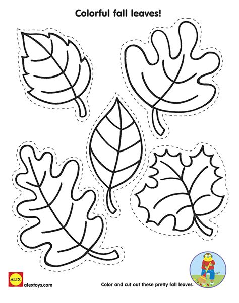 images   printable fall leaves  color fall leaves