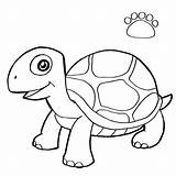 Turtle Coloring Shell Getcolorings Template Pages sketch template