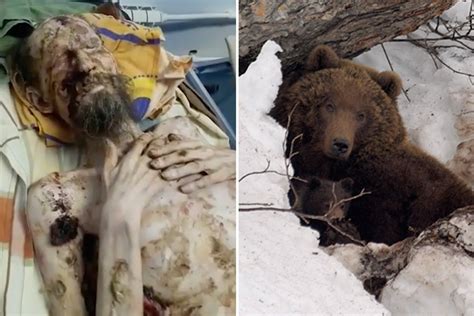 russian ‘bear attack mystery deepens over claim ‘victim was actually