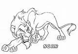 Scar Lion Coloring King Pages Simba Villain Uncle Plays sketch template