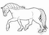 Coloring Haflinger Pages Clipart Mare Deviantart Drawing Secretariat Drawings Artwanted Trout Getdrawings Clipground Teach Riding Inspired Use sketch template