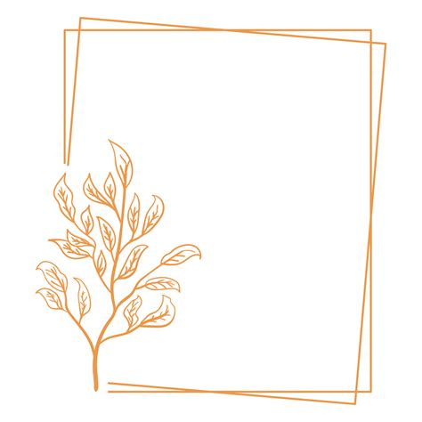minimalist floral frame  png