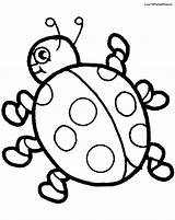 Ladybug Lady Colouring Coloring Cute Outline Clipart Pages Bird Ladybird Color Cliparts Drawing Bug Clip Animal Library Uncategorized Bugs Getdrawings sketch template