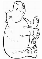Hippo Hippopotamus Zoo Animalstown Rainforest Designlooter sketch template
