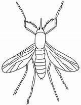 Insekten Insecten Owady Kleurplaten Kolorowanki Kleurplaat Malvorlagen Mosquito Serangga Mewarnai Insects Kolorowanka Mosquitos Insekt Kleuterdigitaal Insetti Malvorlagen1001 Insectos Kunstunterricht Mosquitoes sketch template