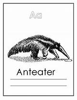 Coloring Anteater sketch template