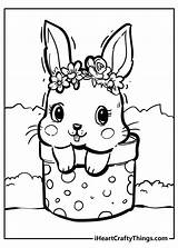Rabbit Rabbits Dots Iheartcraftythings Cheeks Blushing sketch template
