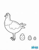 Laying Eggs Chicken Coloring Chocolate Color Pages Easter Hellokids Print Chick sketch template