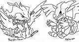 Reshiram Coloring Zekrom Pages Pokemon Trending Days Last sketch template