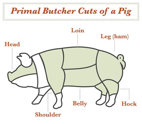 types  pork cuts     shopping  pork