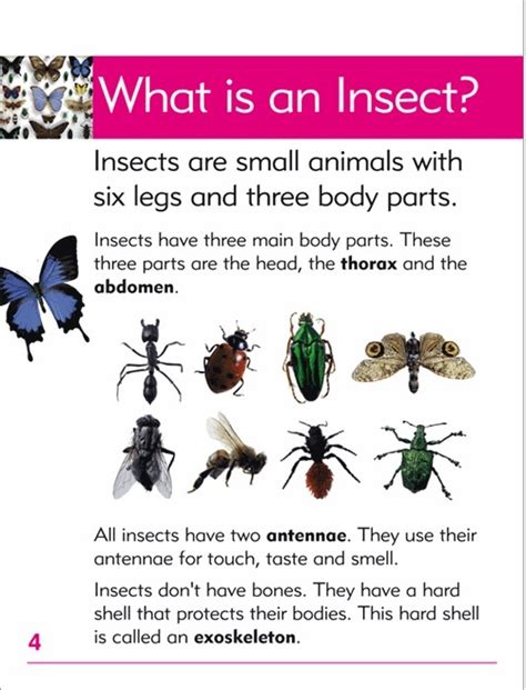facts animals insects blake education educational resources