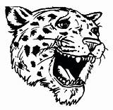 Coloring Pages Jaguars Jaguar Head Jacksonville Car Animal Getcolorings sketch template