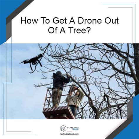 drone    tree step  step guide