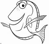 Nemo Buscando Colorare Dory Pez Ausmalbilder Fisch Pesce Angelo Malvorlage Gemeiner Pixar sketch template