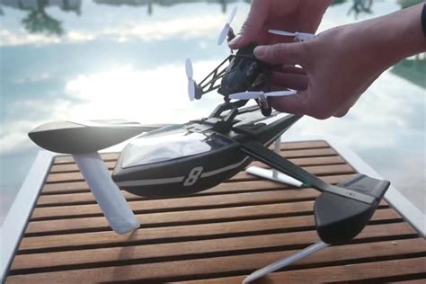 parrot takes   water    hydrofoil drone