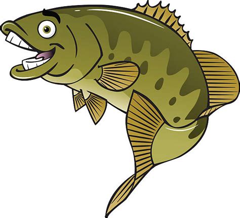 Largemouth Bass Clip Art Vector Images And Illustrations Istock
