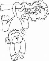 Singe Affe Monkey Malvorlage Malen Guenon Noix Affen Tiere Singes Recherche Dessiner Malvorlagen Basteln Colorier Résultat Paso 1ausmalbilder Drucken Malvorlagentv sketch template