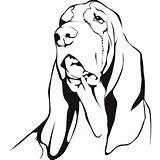 Hound Coloring Basset Dog Pages Wall Coon Decal Printable Sticker Getcolorings Color Template Print sketch template