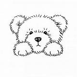 Teddybeer Drawings Gemalt Osos Digi Colouring Bär Outline Teddybär Stempels Clipart Tiere Infantiles Oso Zeichnen Rajzok Maci Beertje Bären Kawaii sketch template