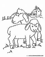 Sheep Outline Drawing Paintingvalley Drawings sketch template