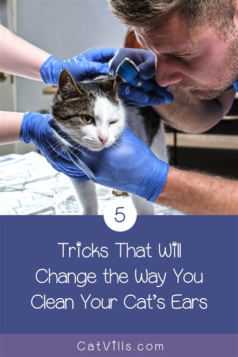 tricks   change    clean  cats ears