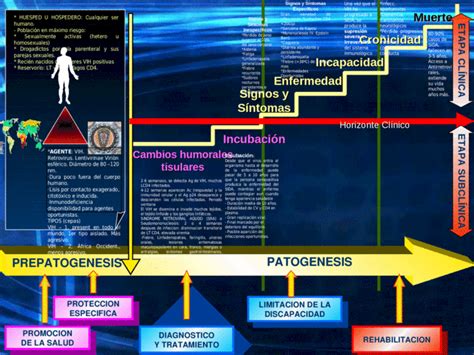 Sida Historia Natural De La Enfermedad Niveles De Prevencion