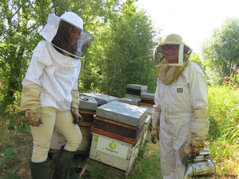 initiative polygone prend soin des hommes  des abeilles actufr prendre soin de soi