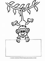 Puzzles Aap Monkeys Snyder Downloaden sketch template