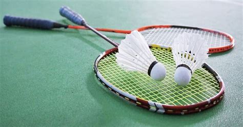 sponsorship fees  badminton players  november