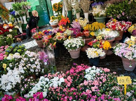 photo flower market colorful colors flora