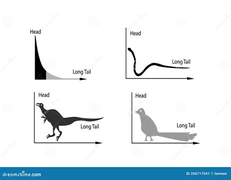 animal cartoon  fat tailed  long tailed distributions stock vector